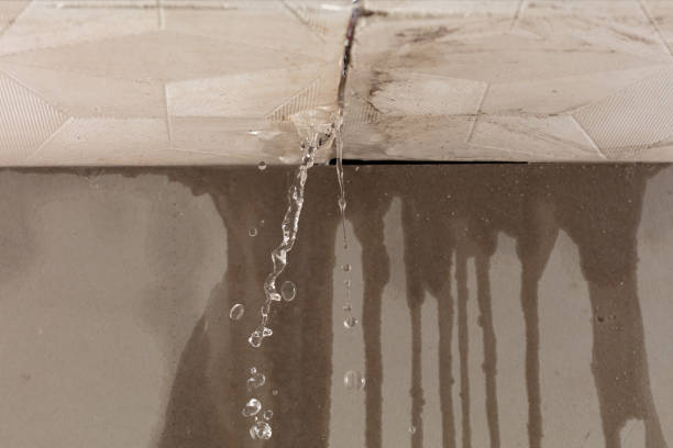 Professional Sewage Cleanup technician working in Heflin, AL